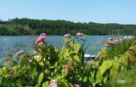 Jezioro Ostrzyckie Krzeszna