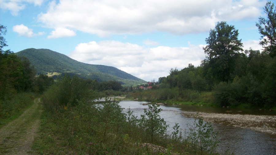 mszana dolna - rzeka mszanka