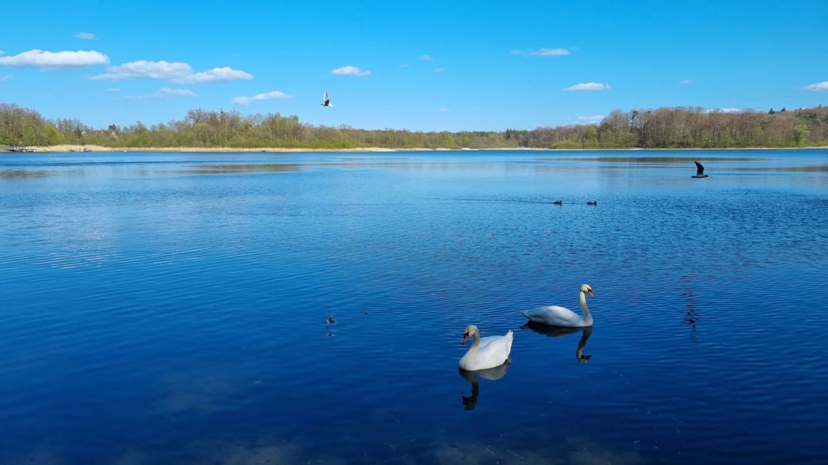 lake otomińskie