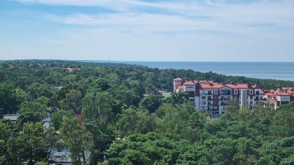 297823963_457944339543713_7447262899444900333_n (1) view from lighthouse