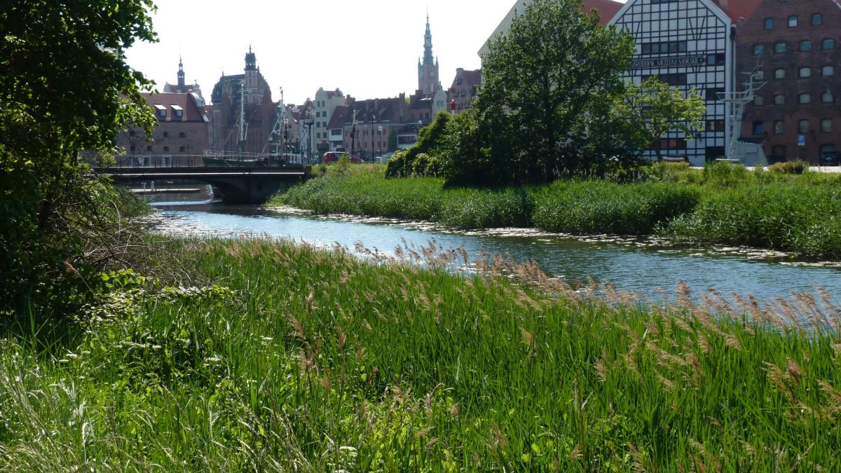 P1070114 stepka canal Gdansk
