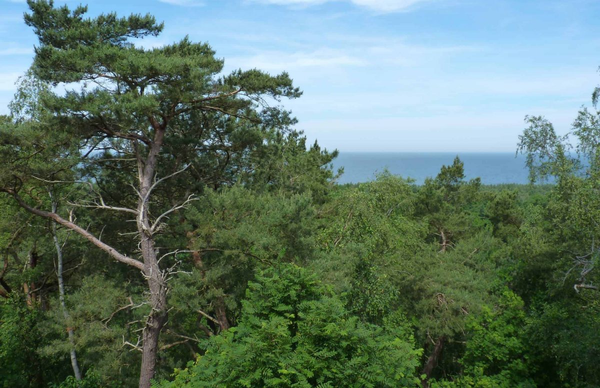 Wielbłądzi Garb punkt widokowy - the “Camel’s Hump” viewpoint