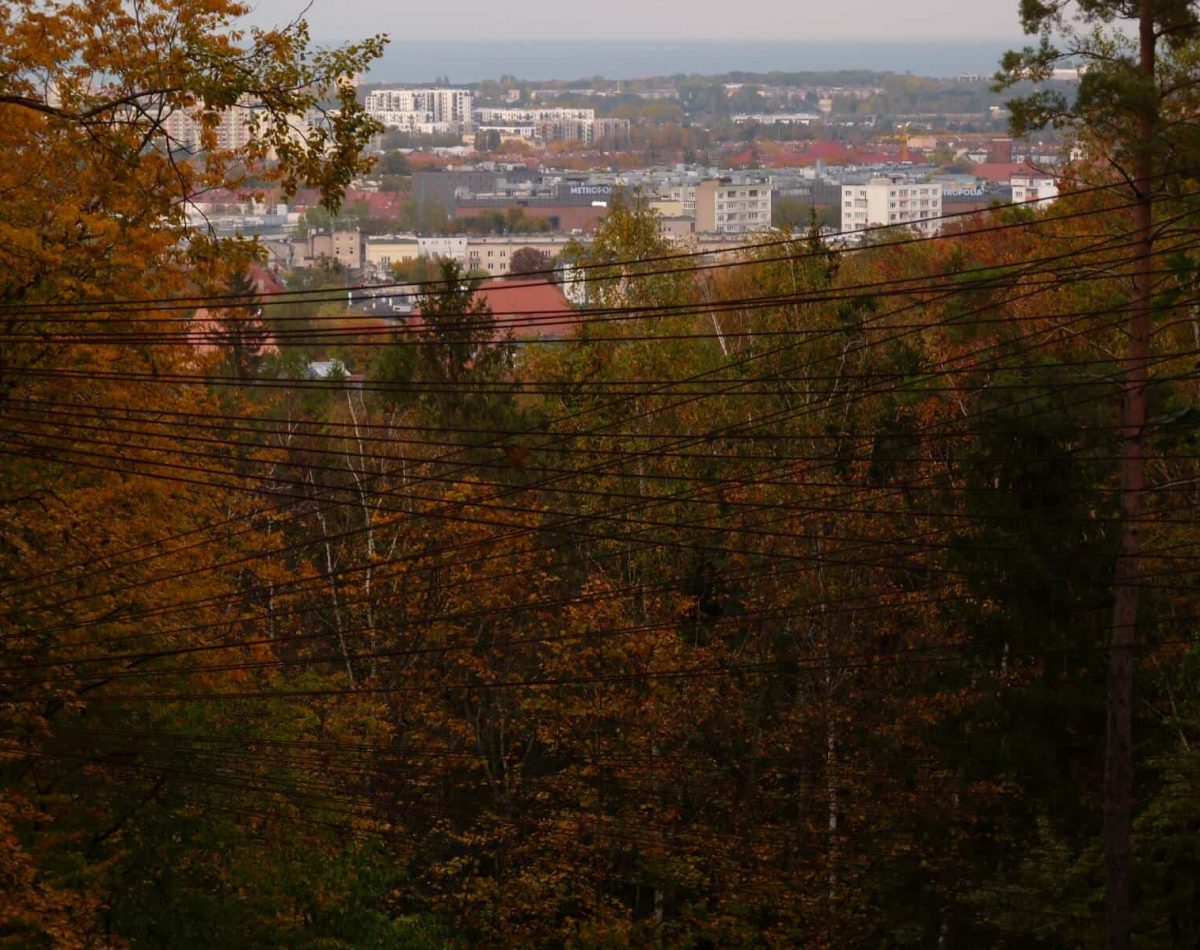 Golden Polish Autumn - Jaskowa Dolina Valley Park, Gdansk