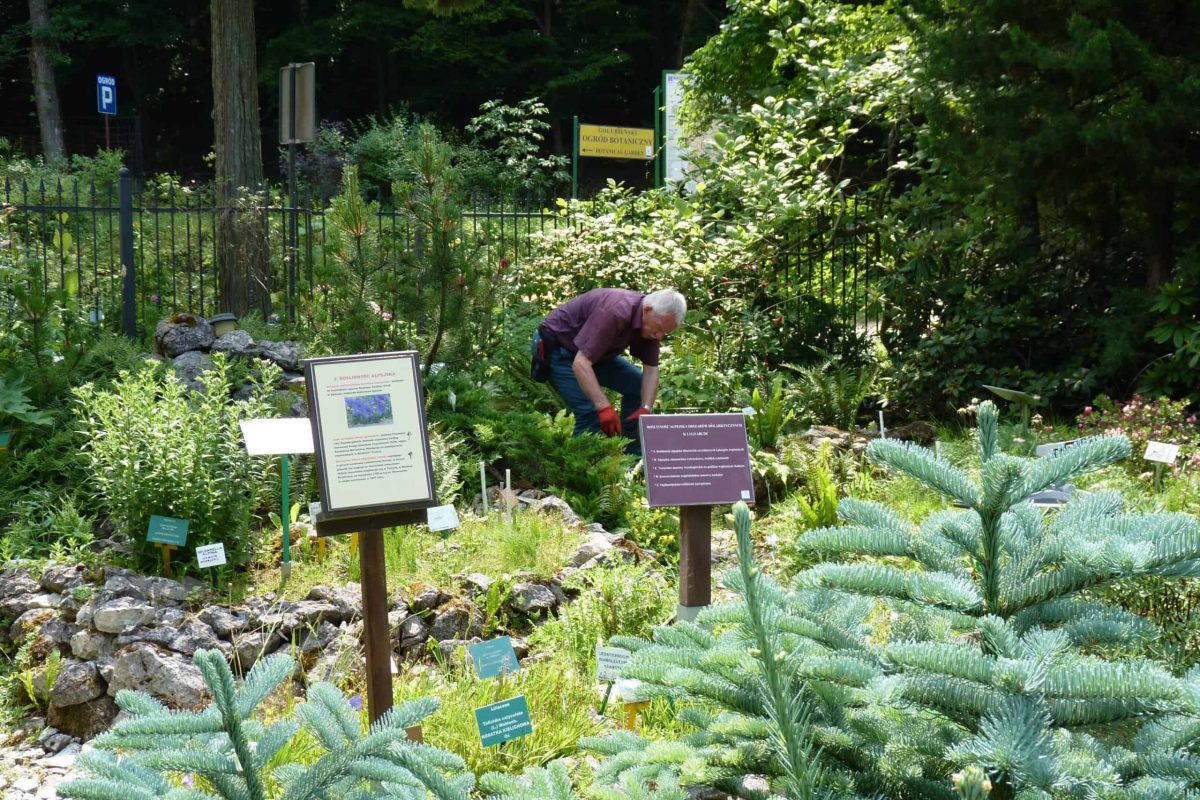 Gołubieński Botanical Garden (Gołubieński Ogród Botaniczny)