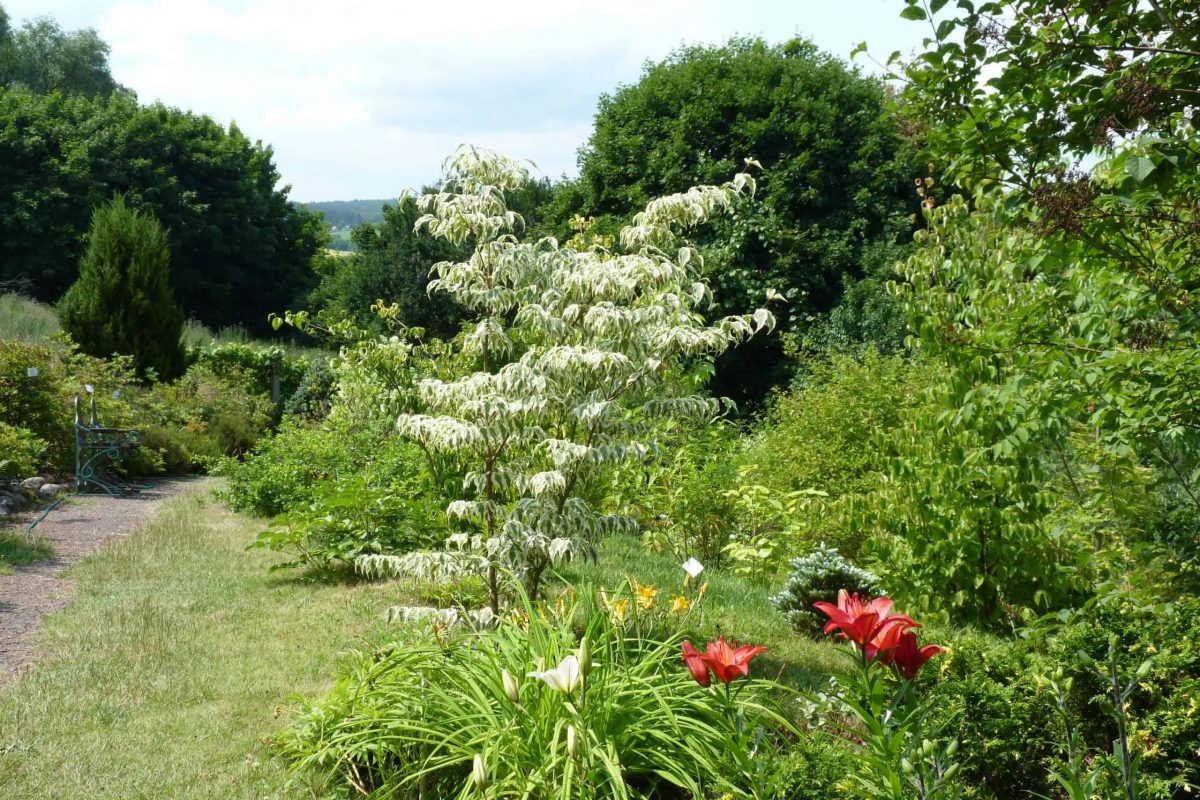 Gołubieński Botanical Garden (Gołubieński Ogród Botaniczny)