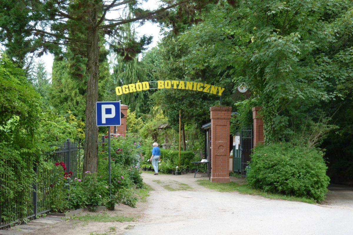 P1070585-min Gołubieński Botanical Garden
