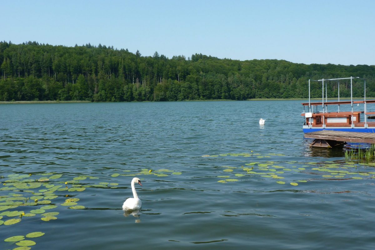 Jezioro Ostrzyckie Krzeszna
