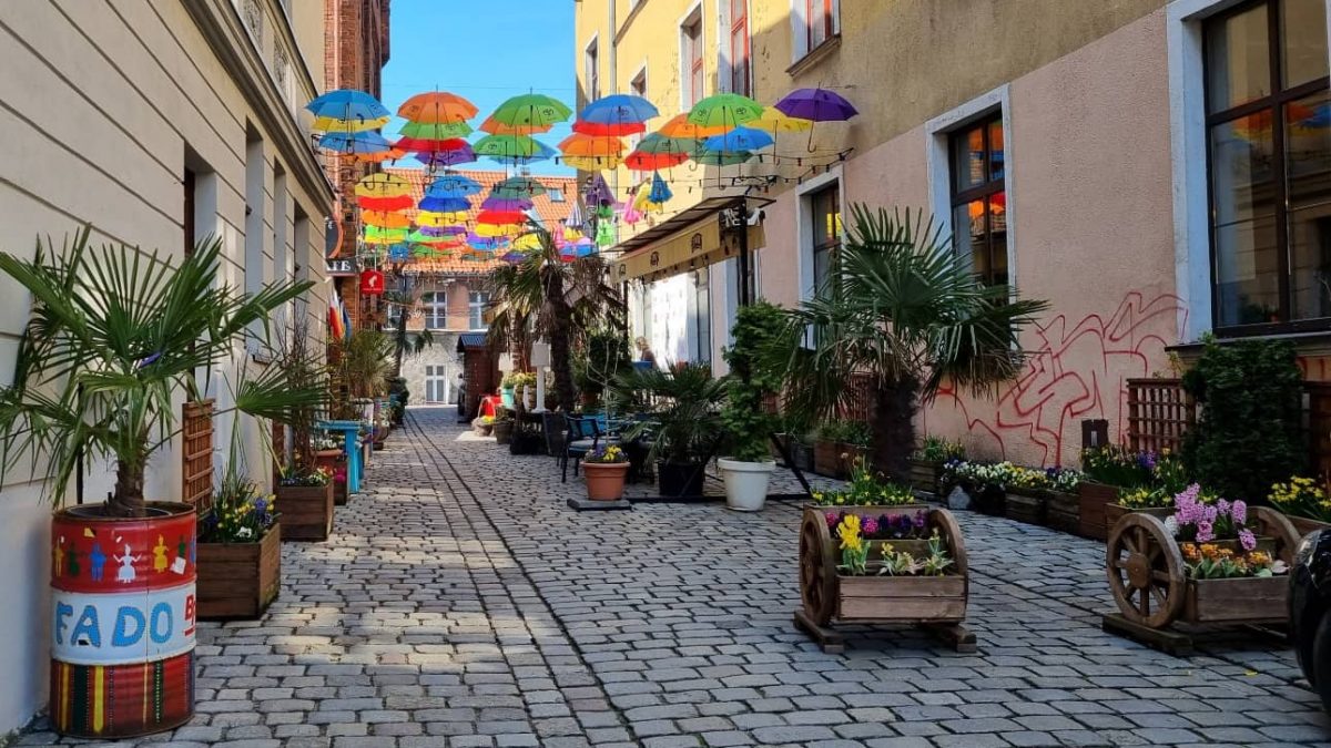Colourful umbrellas on Mikołaja Reja Street in Grudziadz