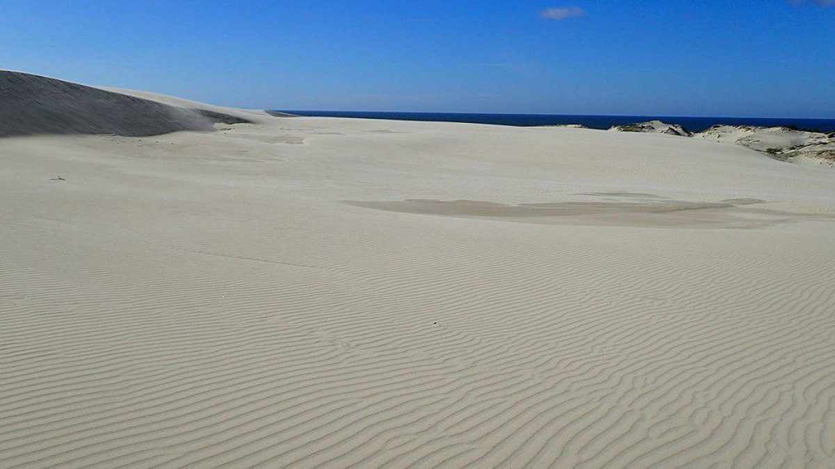 Sand dune in Łeba, Poland