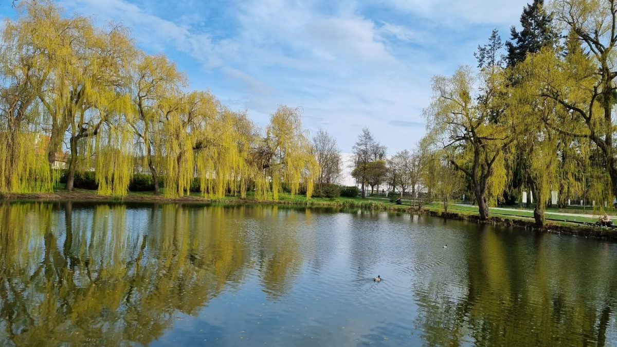 park-orunski (1) park orunski