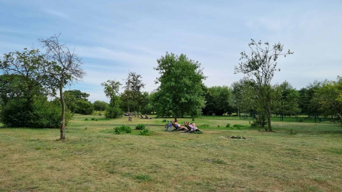 Reagan Park in Gdańsk