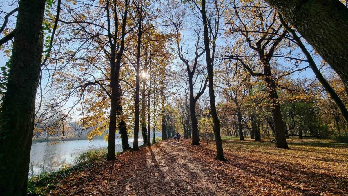 walk in Łazienki Park in Warsaw